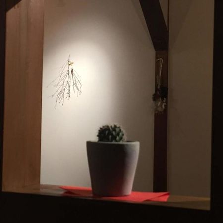 Kinosaki Knot Female Only Dormitory - Vacation Stay 25710V Toyooka  Luaran gambar